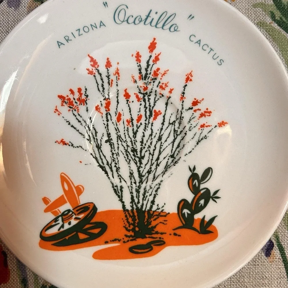 VTG Arizona Cactus Dinnerware Ocotillo Teacup Saucer Mid-Century Southwestern